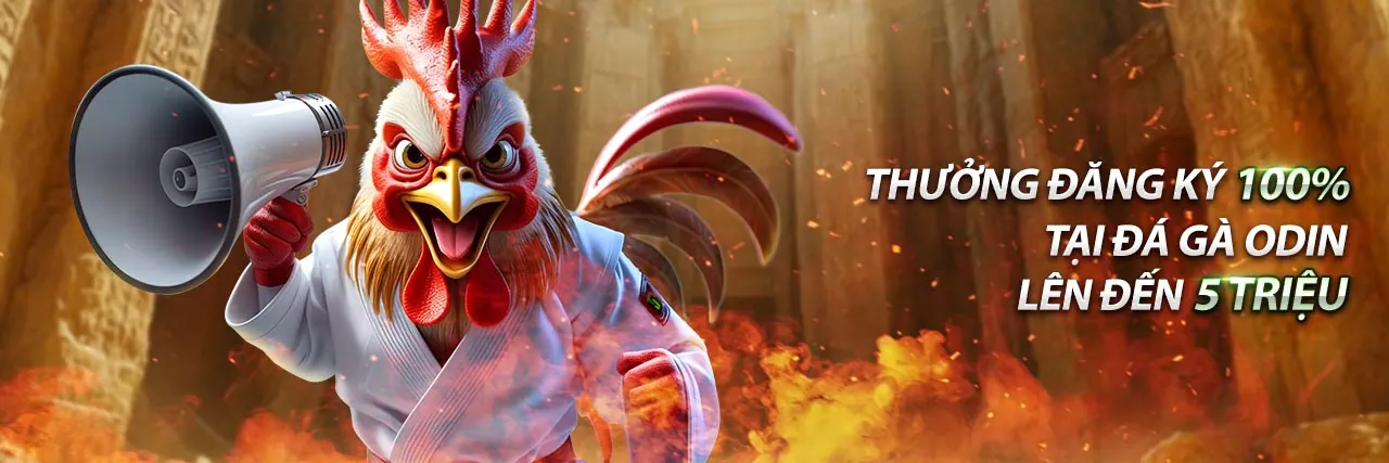 Tổng quan về các chiến lược cá cược đá gà